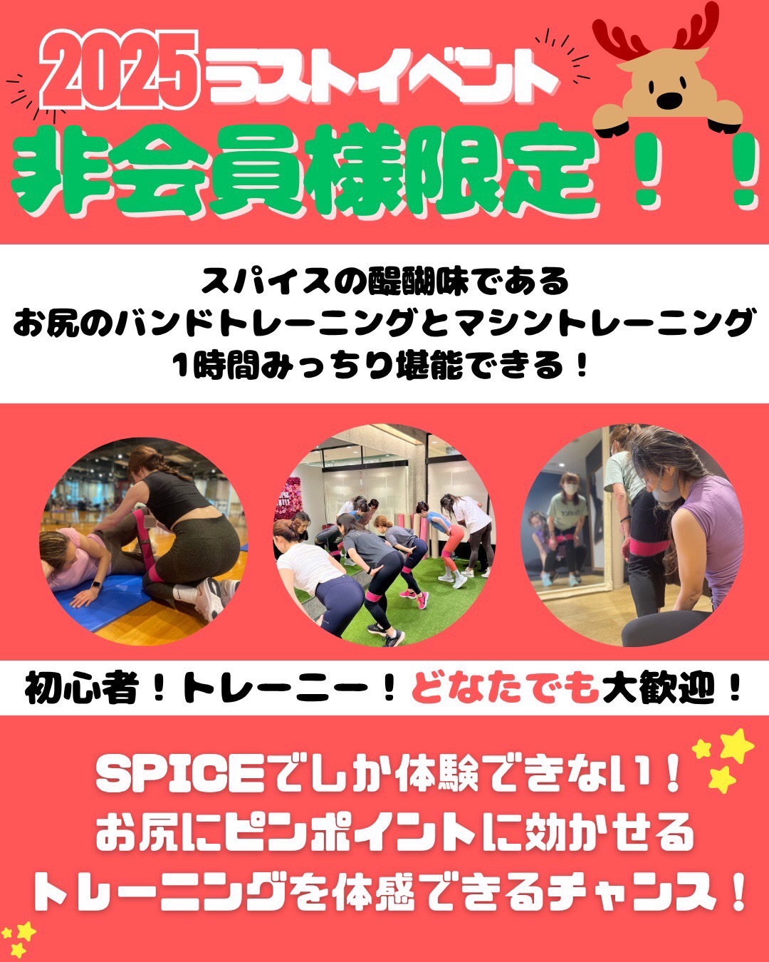 キャンペーン！！